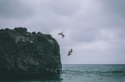 夢中的海洋奇遇，螃蟹與蝦的神秘啟示，夢海奇遇，螃蟹與蝦的神秘啟示