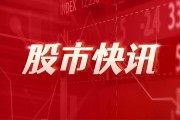 飛南資源：國(guó)泰金源及宏盛開(kāi)源擬合計(jì)減持不超1.87%股份