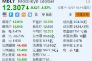 美股異動丨Mobileye跌超4.8% 遭摩根大通下調(diào)評級至“減持”