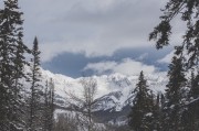 夢中的冒險之旅，夢中的冒險之旅之旅，奇幻探索的夢境之旅