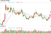 股價(jià)集體閃崩 光模塊三劍客錯殺還是重估？