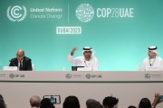 COP29氣候大會臨近，歐美金融高管參會熱情降溫