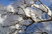 夢中大雪紛飛，厚雪之下的世界，夢中大雪紛飛，厚雪之下的世界探索