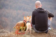 孕婦夢到野雞，是否為胎夢的探索之旅，孕婦夢到野雞，胎夢的探索之旅