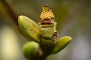 植物僵尸大逃殺——一款無(wú)限可能的植物僵尸生存射擊游戲，植物僵尸大逃殺，刺激的僵尸射擊生存挑戰(zhàn)