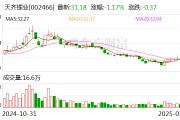 天齊鋰業(yè)：2024年預計凈虧損71億元-82億元