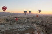 夢(mèng)到買(mǎi)貓，一次心靈的探索之旅，夢(mèng)中的心靈探索之旅，買(mǎi)貓的啟示