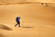 夢中的書香之旅，夢中的書香之旅，探索知識的奇幻之旅