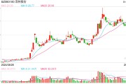 機器人概念連續(xù)反彈，科創(chuàng)50指數(shù)半日漲0.45%