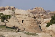 夢(mèng)中的沼澤，探索未知的心靈之旅，夢(mèng)中的沼澤，心靈之旅的未知探索