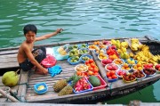 夢中的捉魚之旅，未果的期待，夢中的捉魚之旅，未果的期待之旅