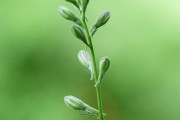 搭建菠菜網(wǎng)站的重要性與步驟，重要性，為何搭建菠菜網(wǎng)站？步驟指南