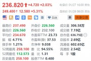 皇家加勒比郵輪盤前漲5.3% 年度利潤指引超預(yù)期