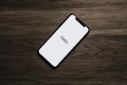 花旗：下調(diào)蘋果iPhone 9月和12月當(dāng)季銷量預(yù)期