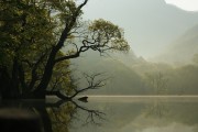 夢到水溢出來的啟示