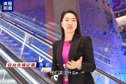 1100多位中德商界人士參與這次會(huì)議 他們說“我們離不開中國”