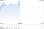 寶積資本持續(xù)上漲逾59% 擬折讓約19.72%發(fā)行最多合共1.05億股認(rèn)購(gòu)股份