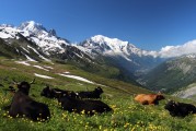 自由的纜車(chē)上山之旅，纜車(chē)旅行，一次自由探索山區(qū)的美妙體驗(yàn)