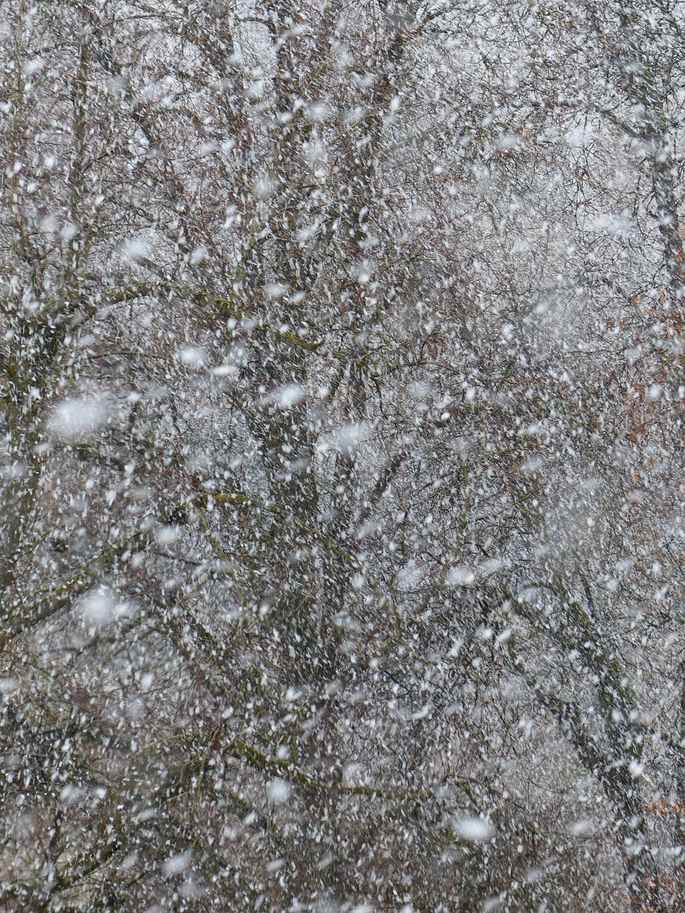 雪舞夢(mèng)境——我的夢(mèng)中雪景