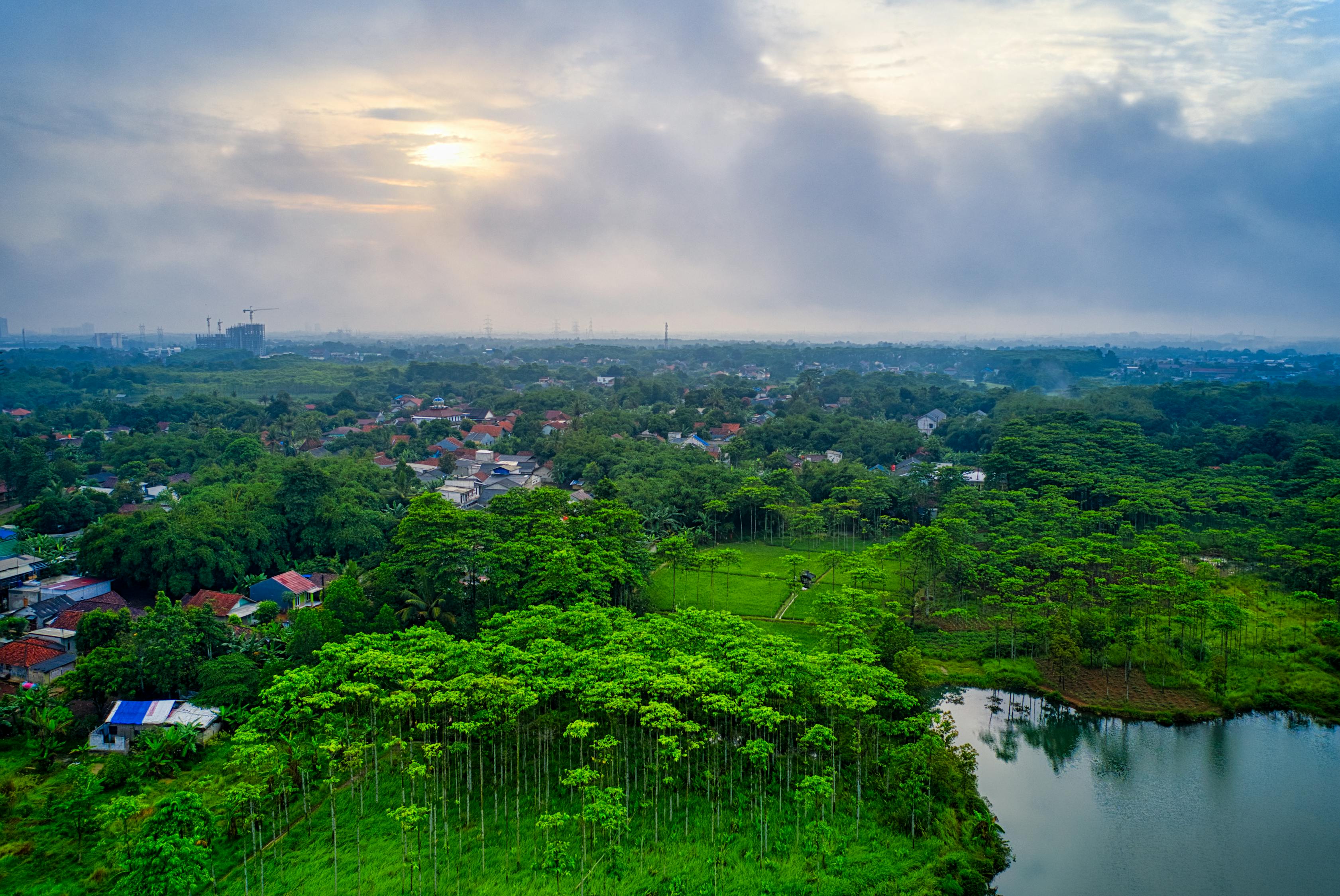 夢(mèng)中雞鳴，一場(chǎng)奇妙的夢(mèng)境之旅