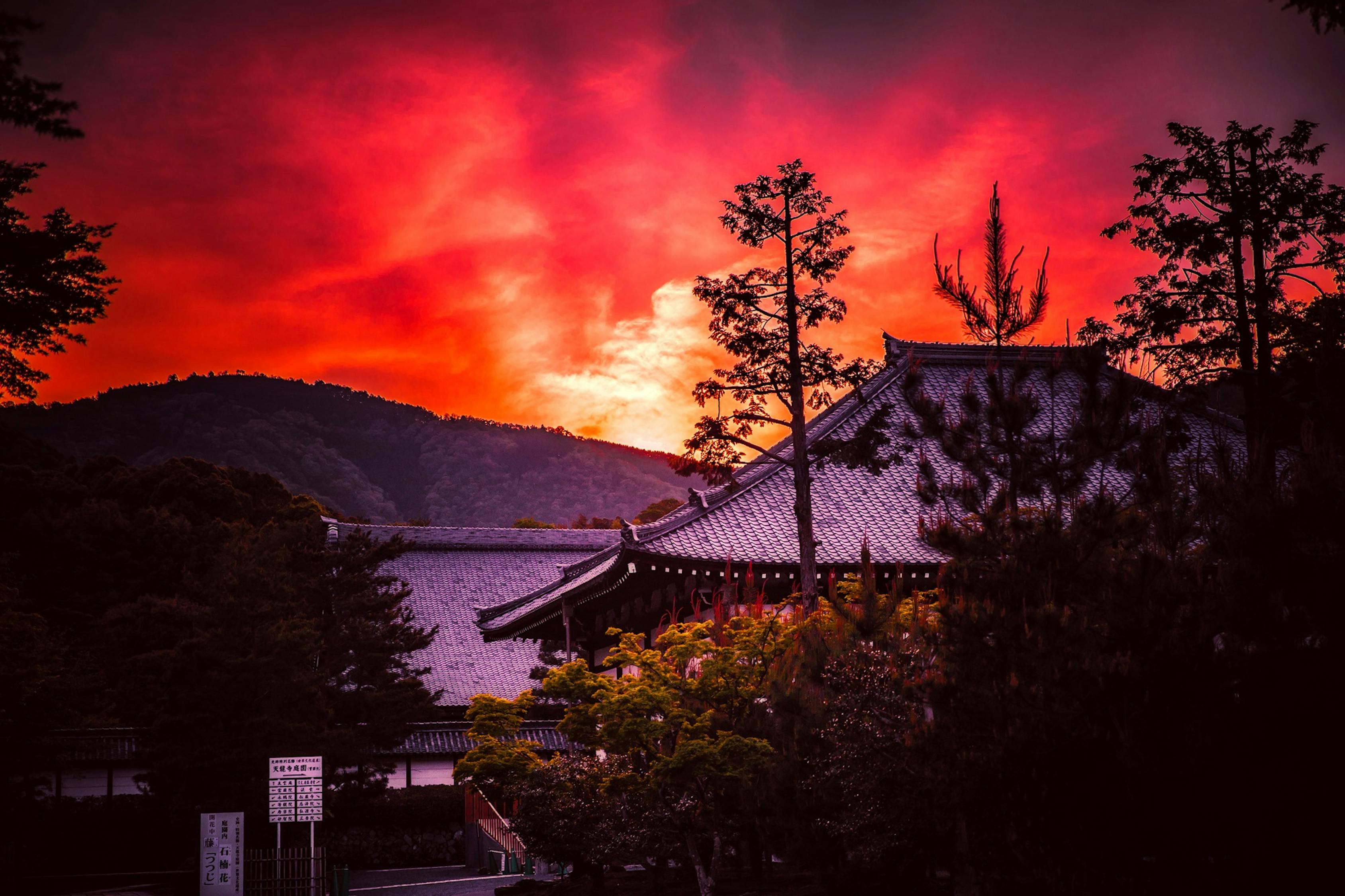 夢中驚現(xiàn)喪事之景——一場不期而遇的夢境解析，夢境中的喪事之景，不期而遇的解析與啟示