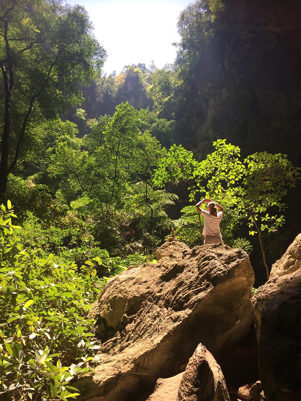 山路之夢，探索未知的旅程