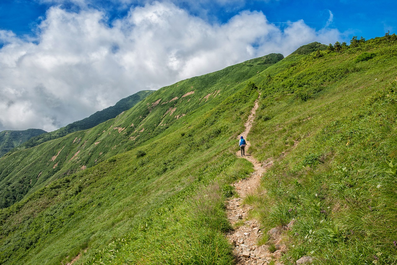 夢中的旅游迷路之旅