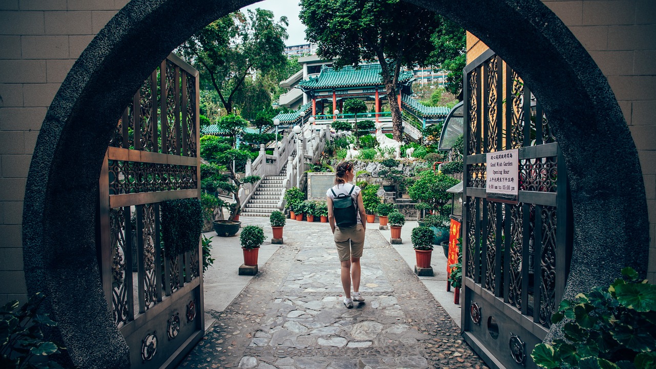 綠色的激戰(zhàn)——淺析花園戰(zhàn)爭游戲