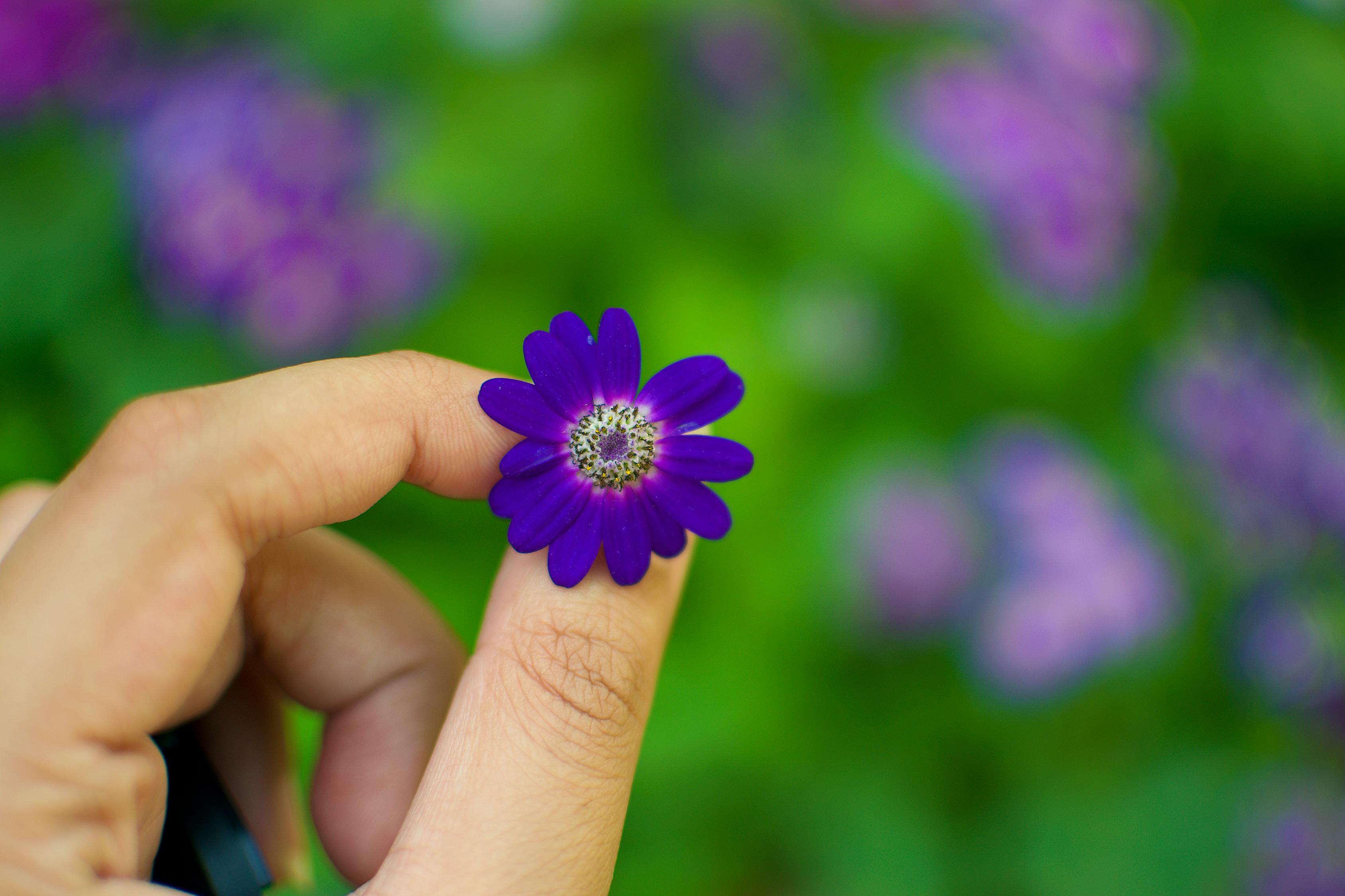 芭比打扮游戲免費下載，讓小女孩過上精致的生活