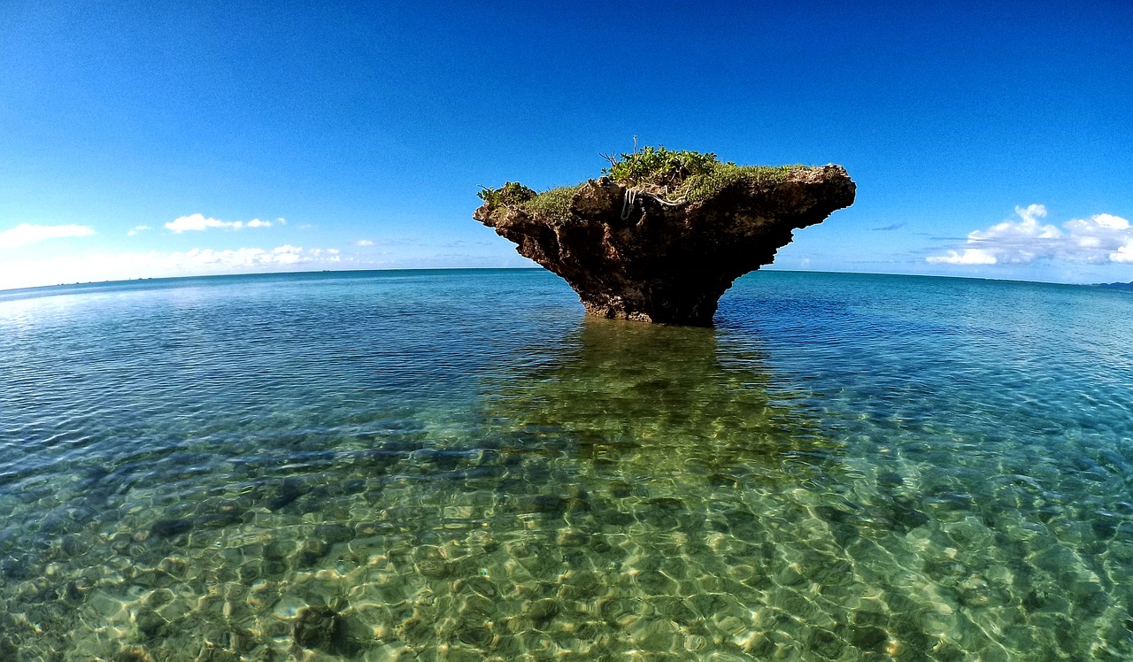 鯊魚(yú)游戲免費(fèi)下載，帶你體驗(yàn)最真實(shí)的海洋世界