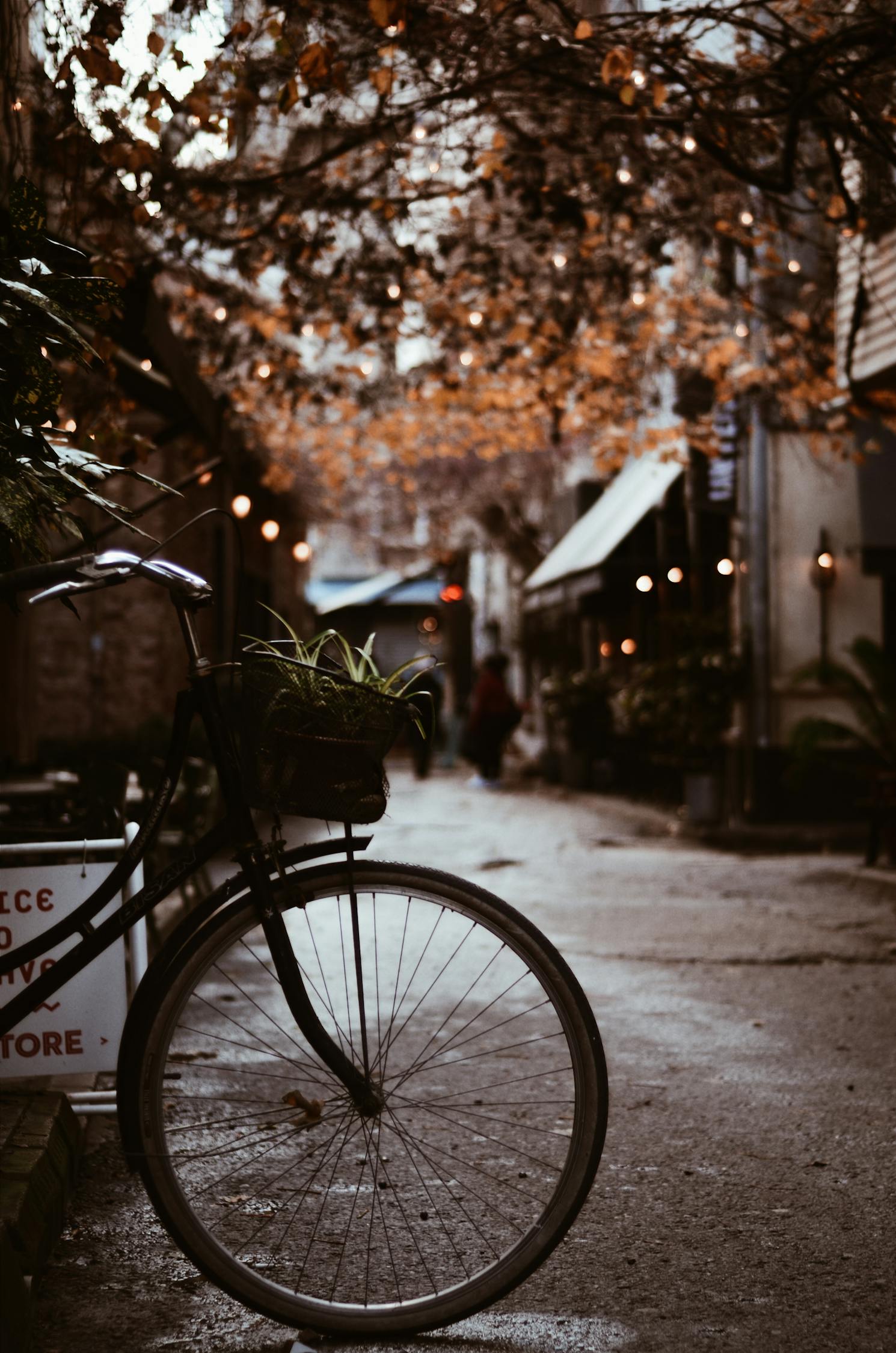 夢(mèng)中的電車之旅，一次難忘的騎行體驗(yàn)