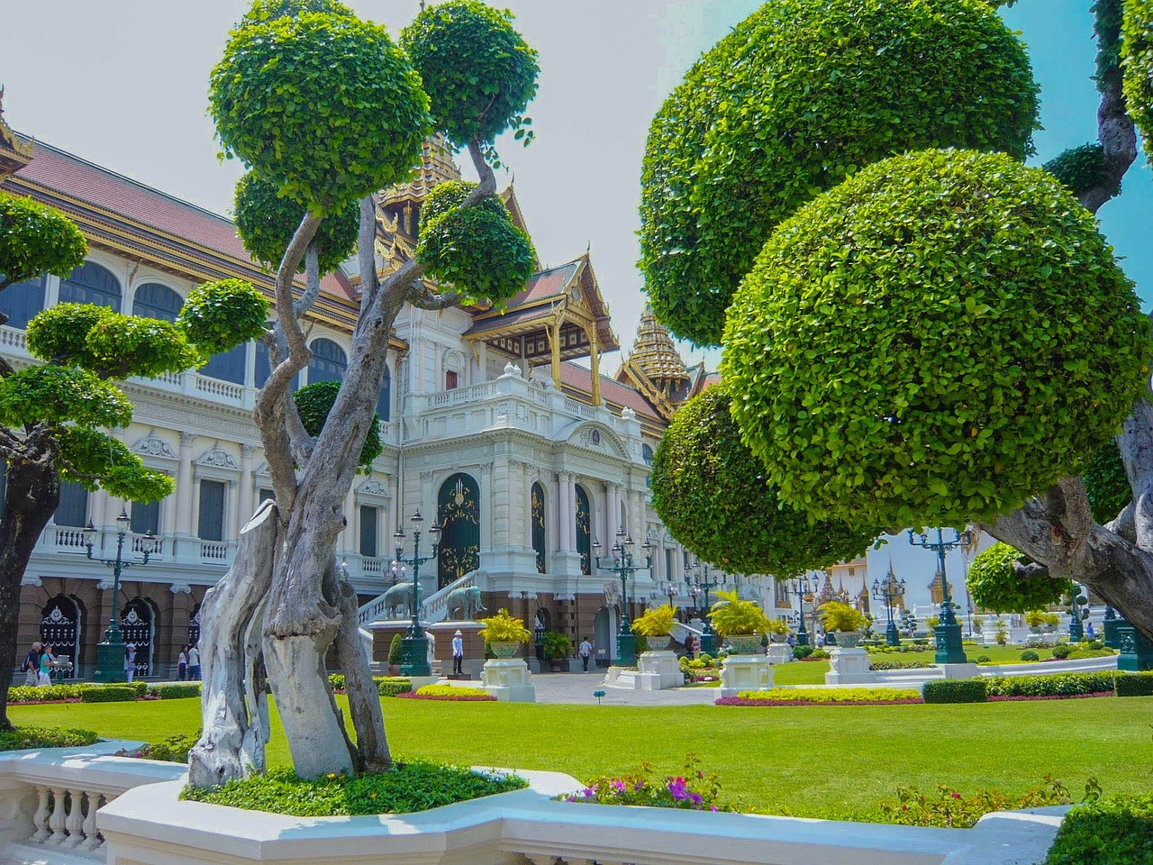 夢中的李子樹，一段心靈的旅程