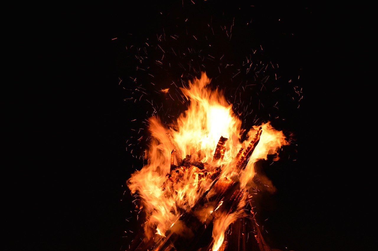 夢(mèng)中的虎影，一次與猛虎的較量