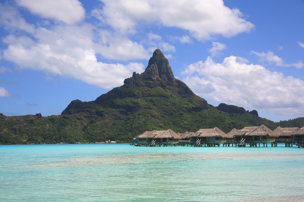 夢海之游，一次海邊游泳的奇幻之旅