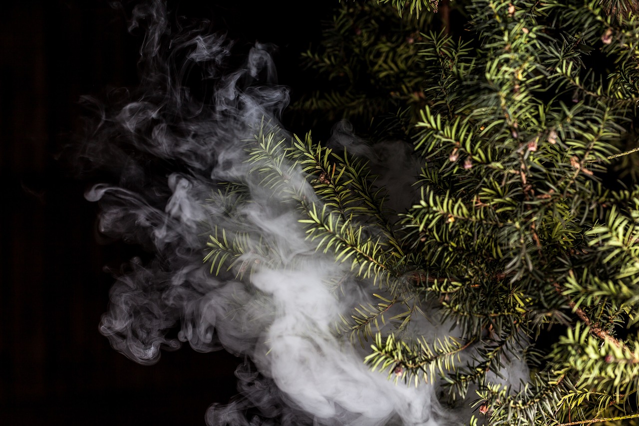 蒸汽朋克風(fēng)格的植物大戰(zhàn)僵尸，植物刺客，一款無需付費(fèi)的游戲