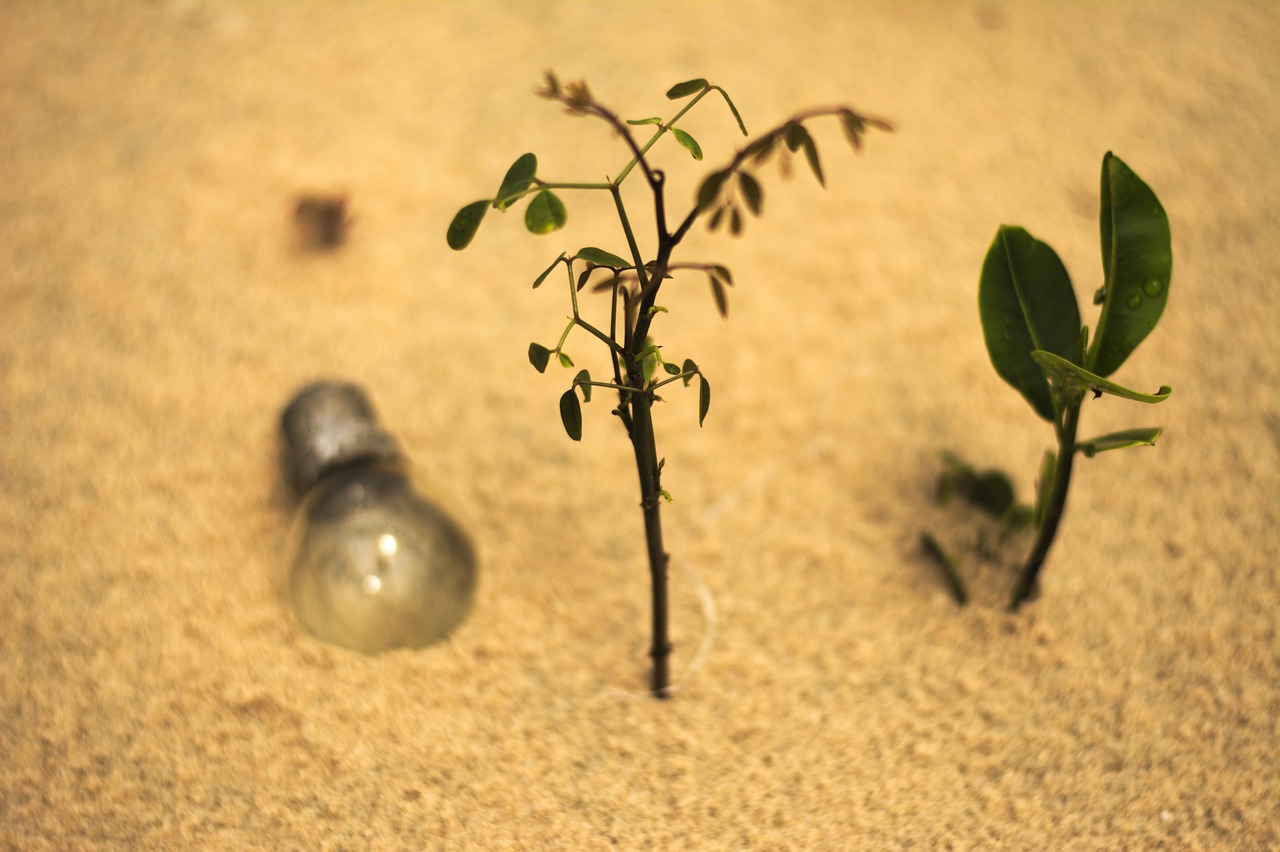 輕盈的夏日午后——輕松享受薄荷游戲免費