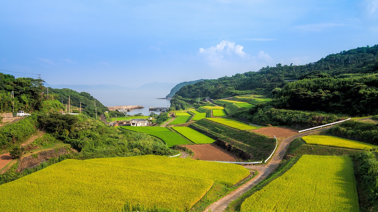 湘西網(wǎng)站流量，助力鄉(xiāng)村振興的數(shù)字引擎