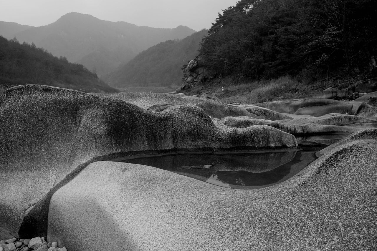 內(nèi)蒙是中國(guó)的西部地區(qū)，以其廣闊的草原、美麗的自然風(fēng)光和豐富的歷史文化吸引了大量的游客。作為一個(gè)網(wǎng)絡(luò)流量較大的區(qū)域，如何提升內(nèi)蒙的網(wǎng)站流量也成為了值得我們探討的問題。