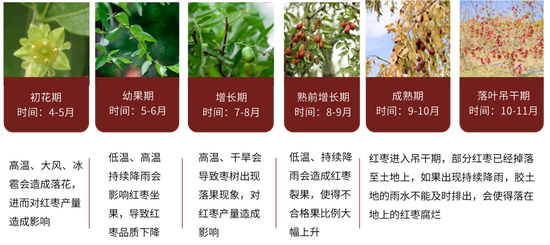 紅棗：宏觀回暖支撐，基本面改善暫有限