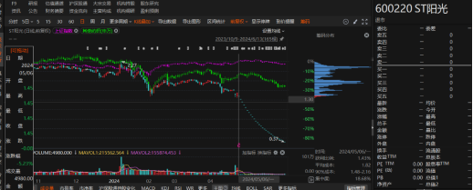 江蘇陽光有非經(jīng)營性資金占用和業(yè)績預告變臉！