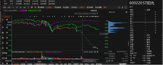 江蘇陽光有非經(jīng)營性資金占用和業(yè)績預告變臉！