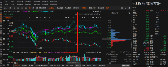 祥源文旅非經(jīng)營(yíng)性資金占用雖已歸還，但仍被出具警示函！