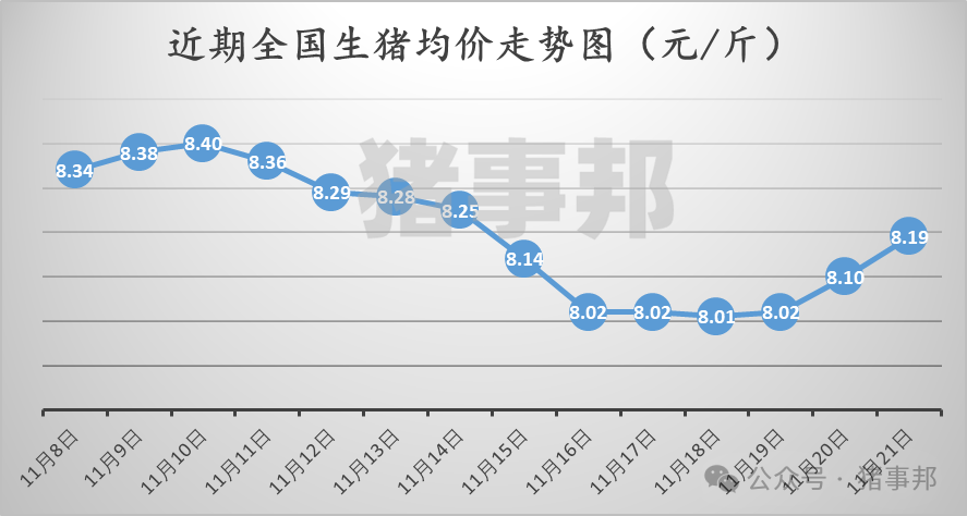 11月21日豬價(jià)匯總（繼續(xù)普漲，但情緒分化?。?></p>
<p><p style=