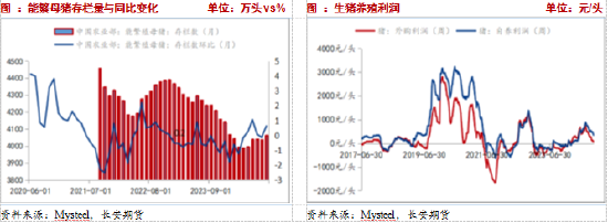 長安期貨：壓力猶在，玉米短期震蕩調整