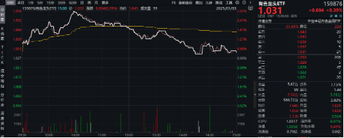 有色蓄勢(shì)高飛！有色龍頭ETF（159876）盤(pán)中逆市漲超3%！銅、金、鋁攜手上攻，北方銅業(yè)漲停封板