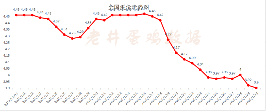 老井扯雞蛋：昨日全國(guó)雞蛋均價(jià)、淘汰雞均價(jià)均偏弱！