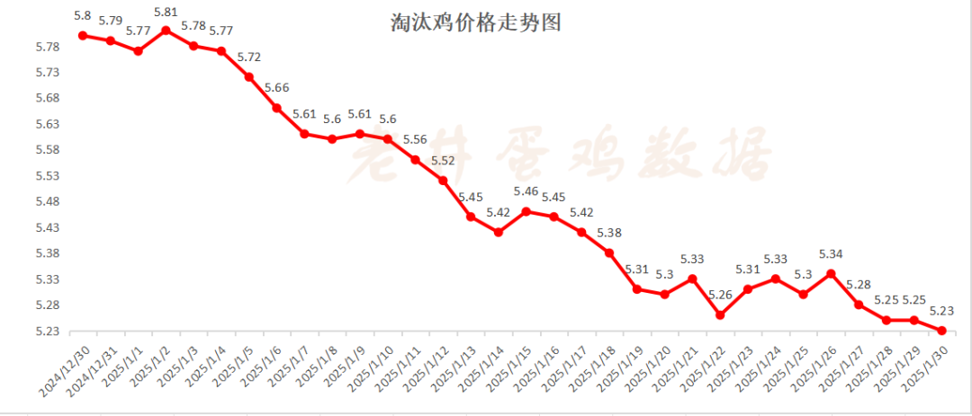 老井扯雞蛋：昨日全國(guó)雞蛋均價(jià)、淘汰雞均價(jià)均偏弱！