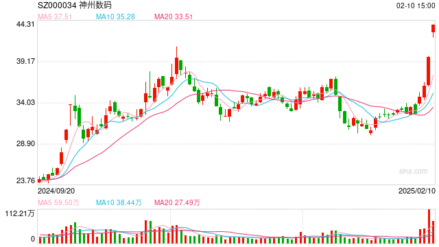 DeepSeek概念股火了！神州數(shù)碼股價暴漲，公司提示投資風險
