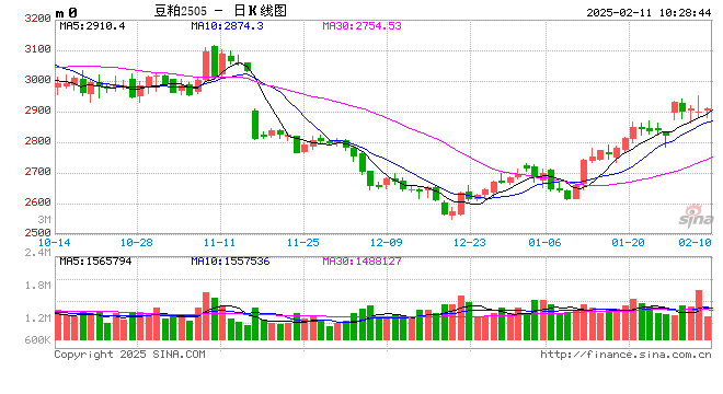 光大期貨：2月11日農(nóng)產(chǎn)品日?qǐng)?bào)