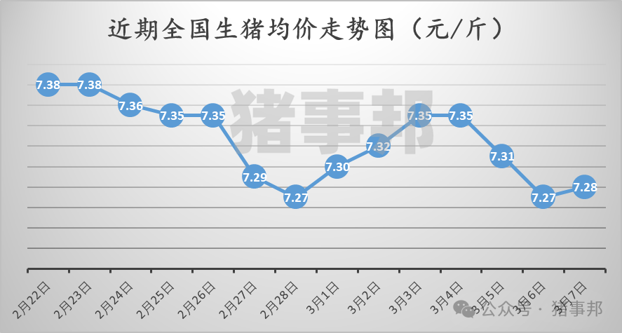 3月7日豬價匯總（北方稍強(qiáng)，南方稍弱！）